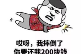 兴海专业讨债公司有哪些核心服务？